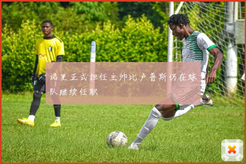 诺里正式担任主帅比卢普斯仍在球队继续任职